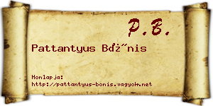 Pattantyus Bónis névjegykártya